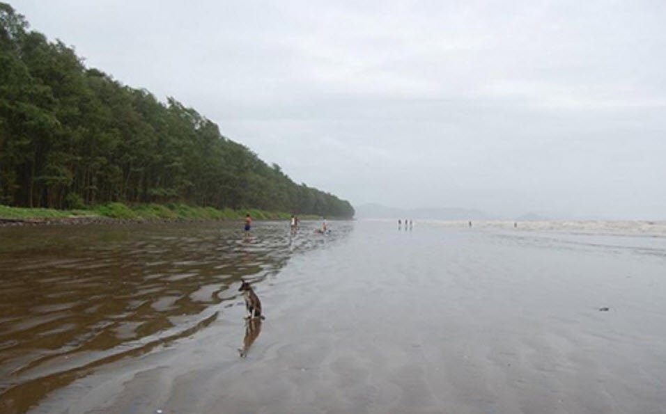 Sasawne Beach, Raigad, Maharashtra - Vushii.com Sasawne Beach, Raigad, Maharashtra - Vushii.com
